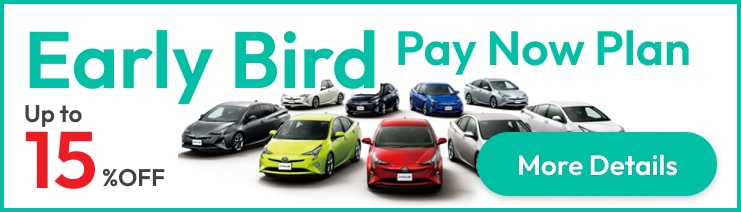 Early Bird Pay Now Plan