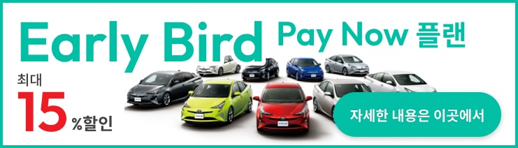 Early Bird Pay Now 플랜
