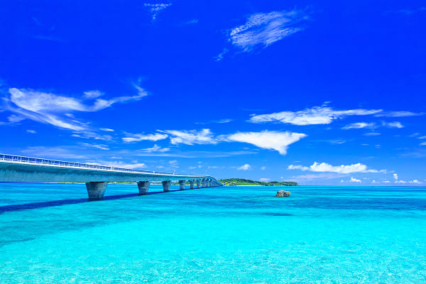 投入蔚藍世界的懷抱。