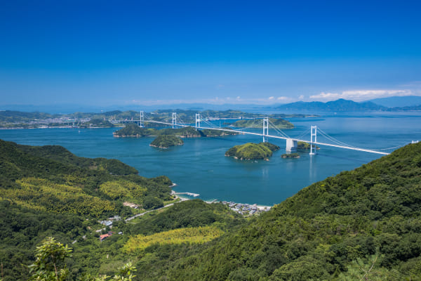 如風般自由，馳騁海上。