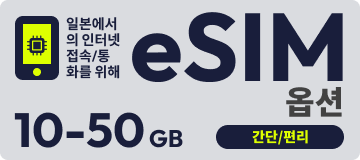 eSIM 옵션