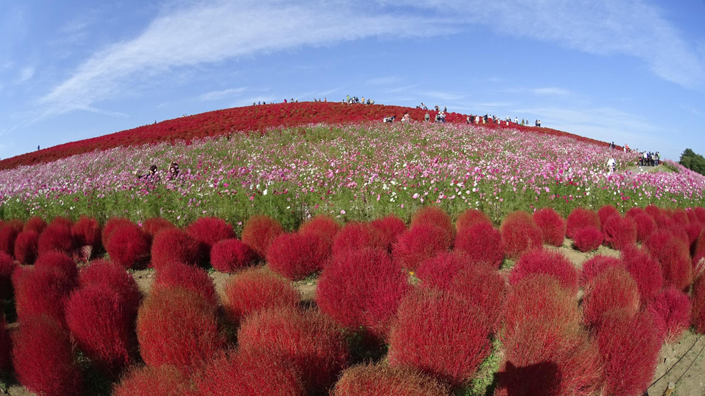 국영히타치 해변공원