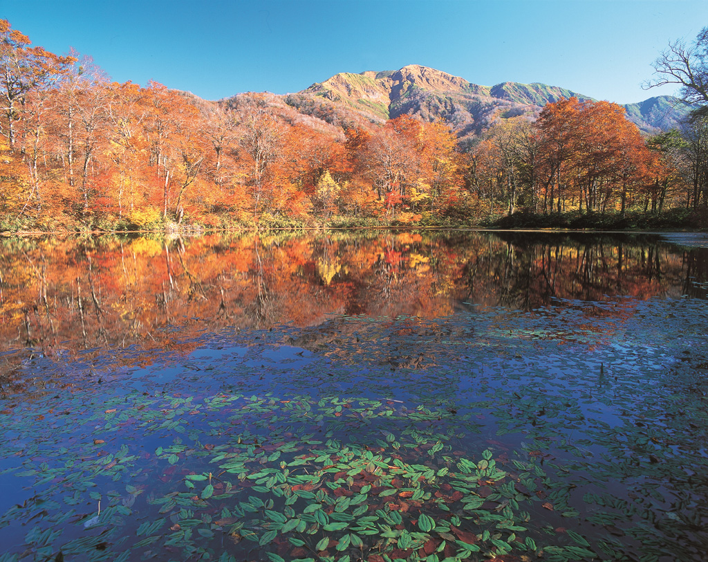 Japan's Top 100 Autumn Leaves Spots - ToCoo! Car Rental