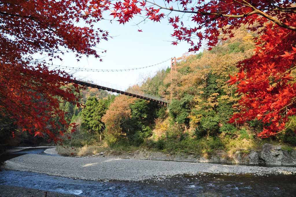 타라큐삼림 공원