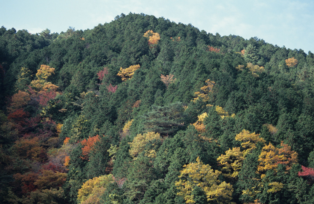 류진스카이라인
