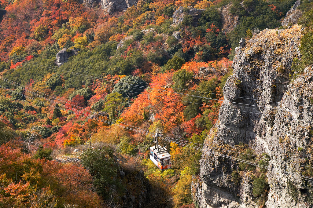 Japan's Top 100 Autumn Leaves Spots - ToCoo! Car Rental