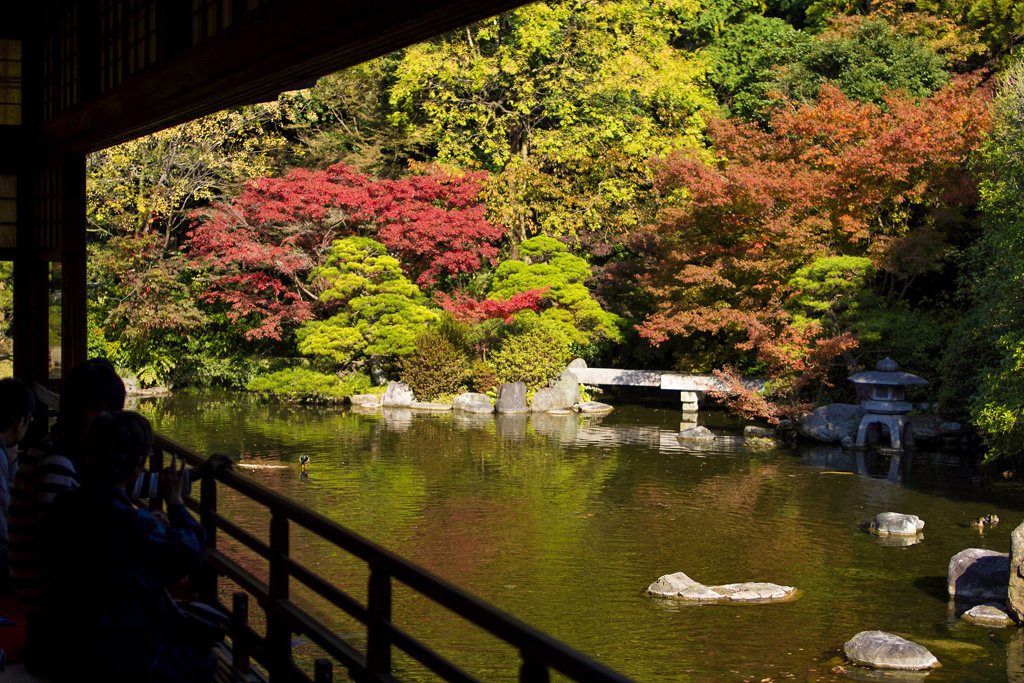 Japan's Top 100 Autumn Leaves Spots - ToCoo! Car Rental