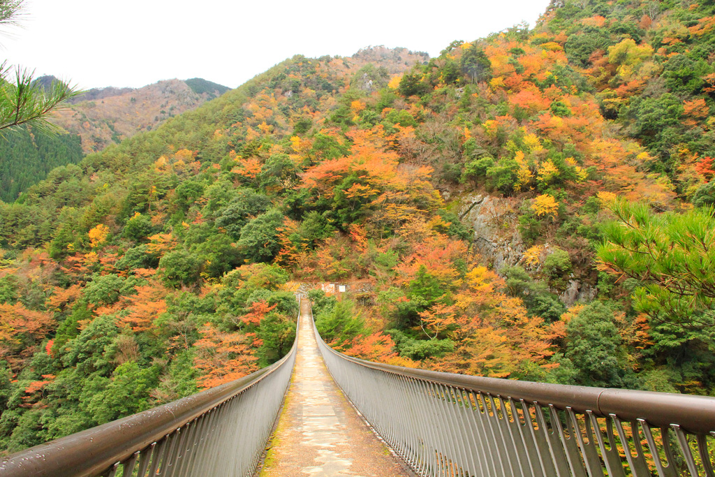 우메노키 토도로키 공원