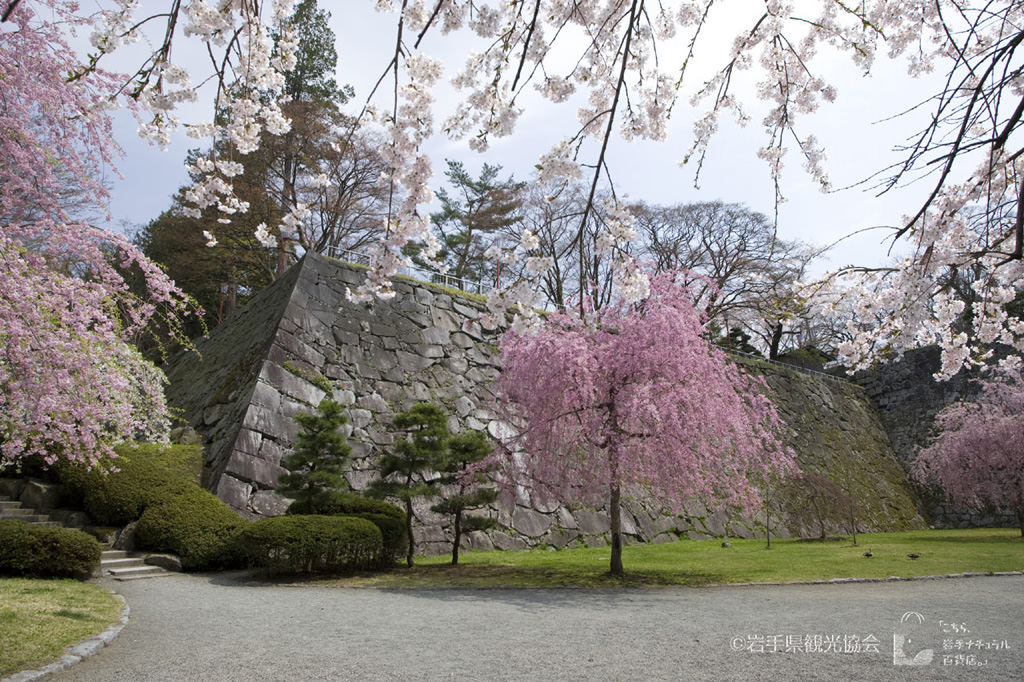 岩手公園・高松公園