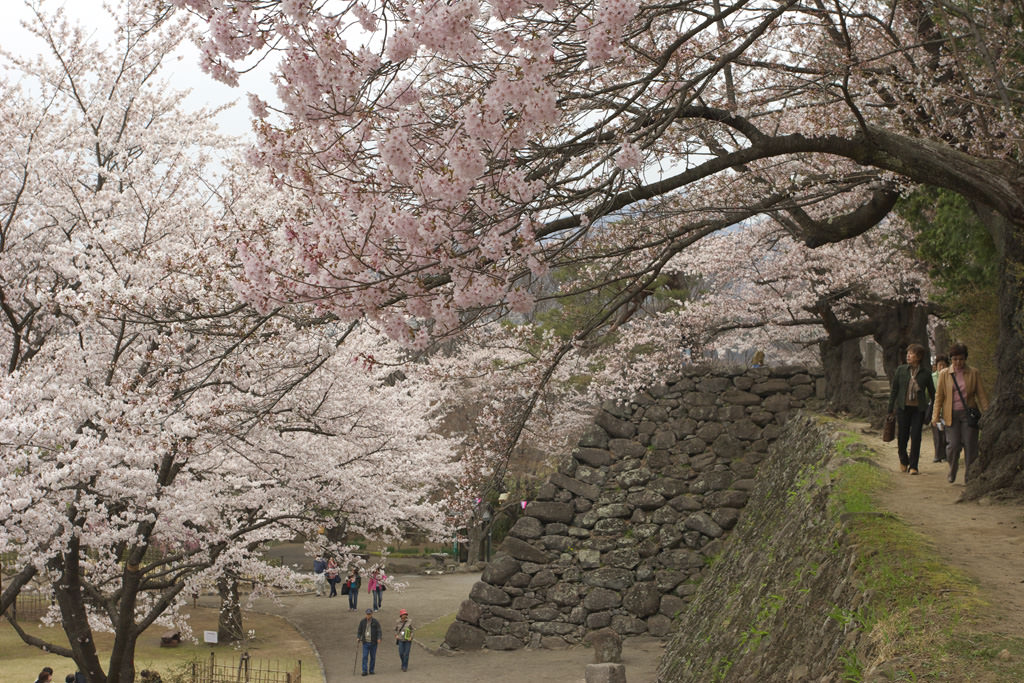 小諸城址｢懐古園｣