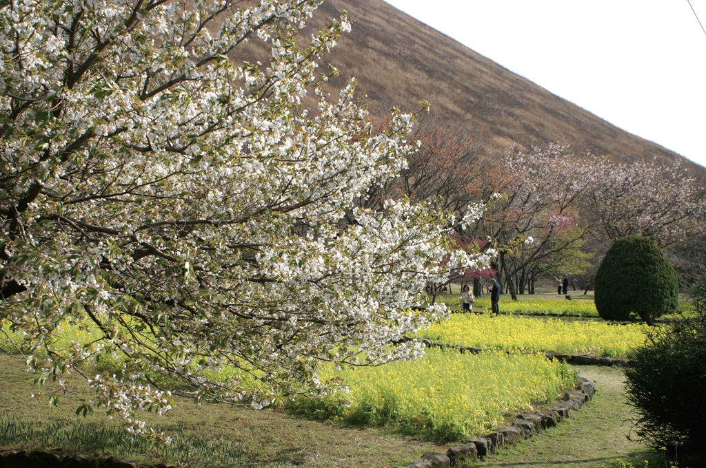 群馬縣Sakura no Sato