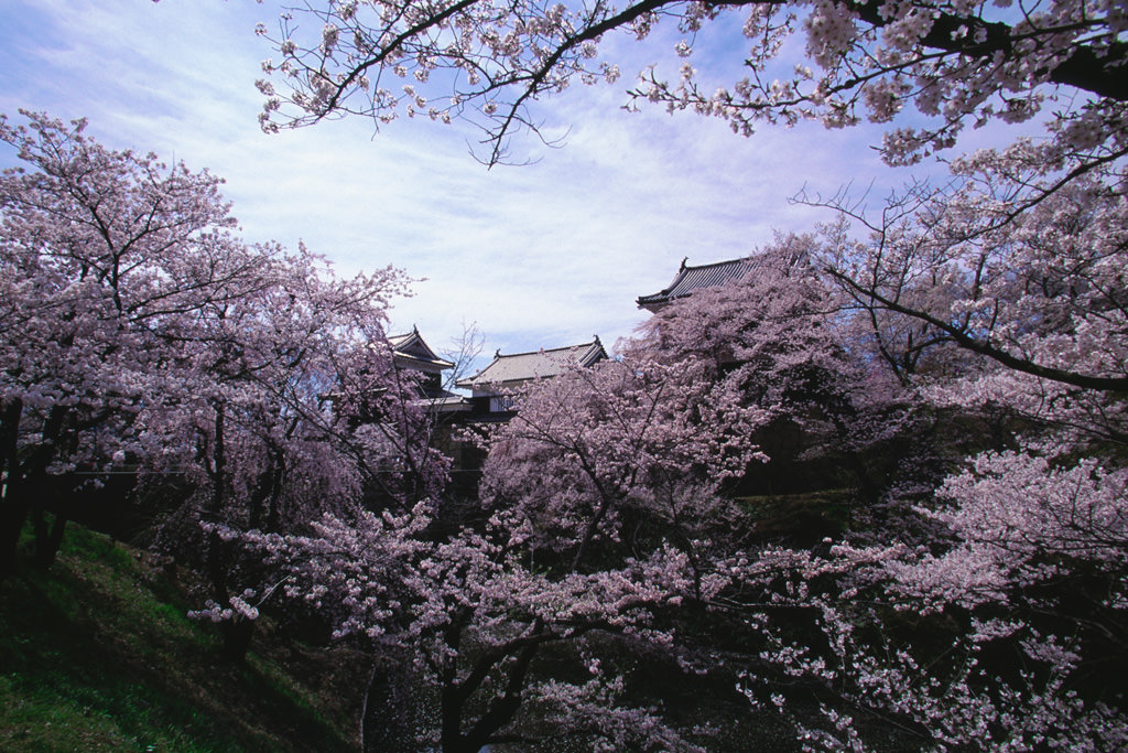 上田城跡公園