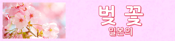 벚꽃 일본의