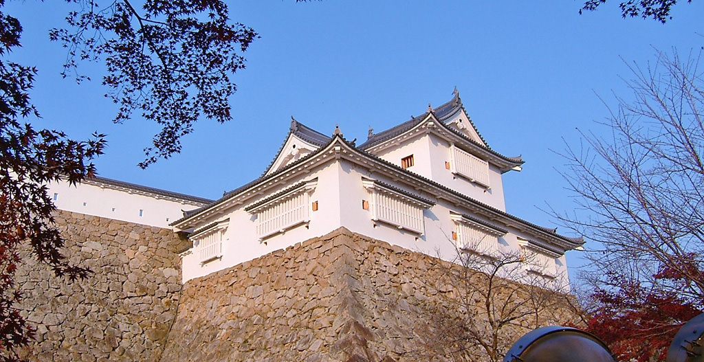 Tsuyama-Castle