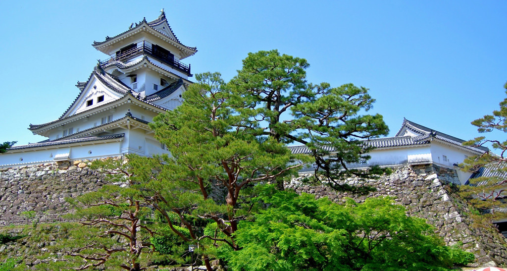 Kochi-Castle