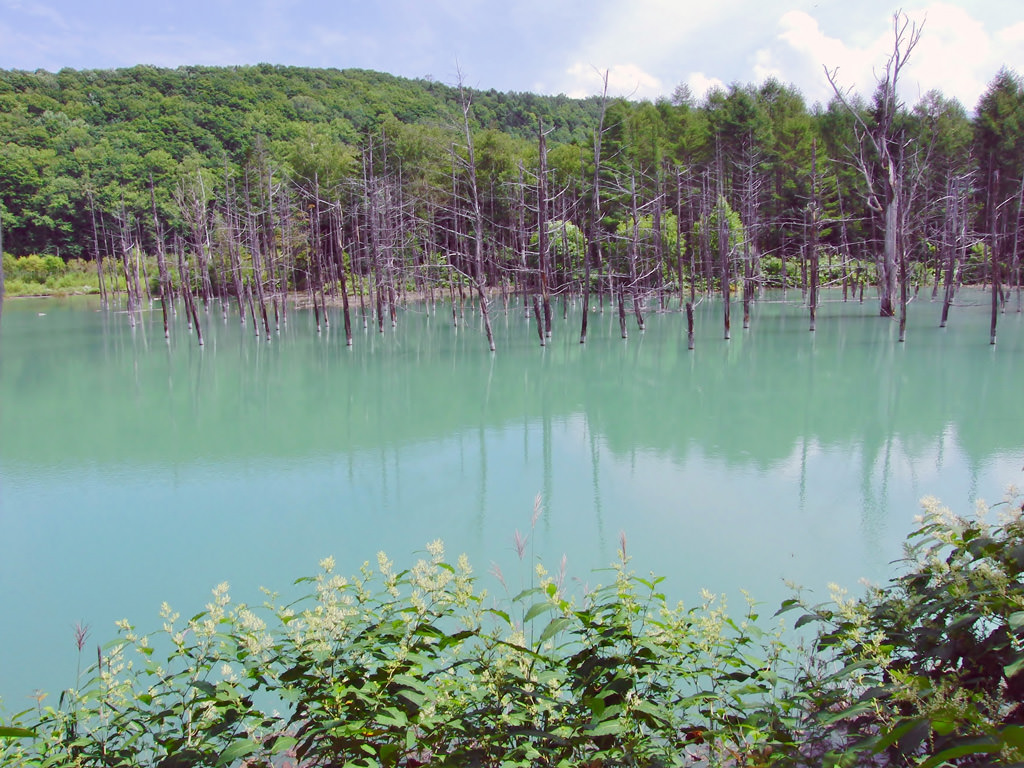 青池