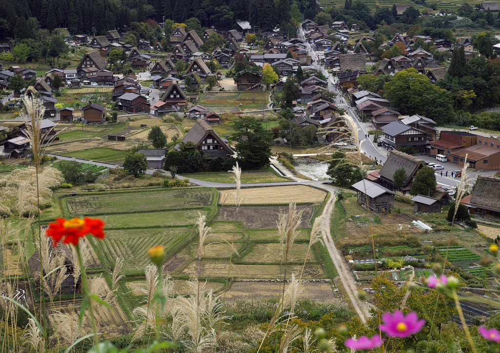 白川郷合掌造集落