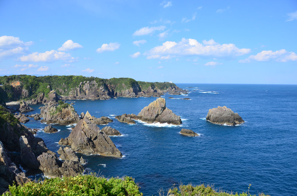 海金剛