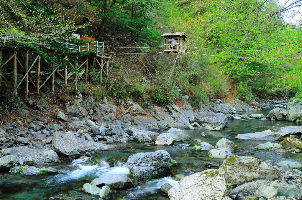 奧祖谷雙重蔓橋