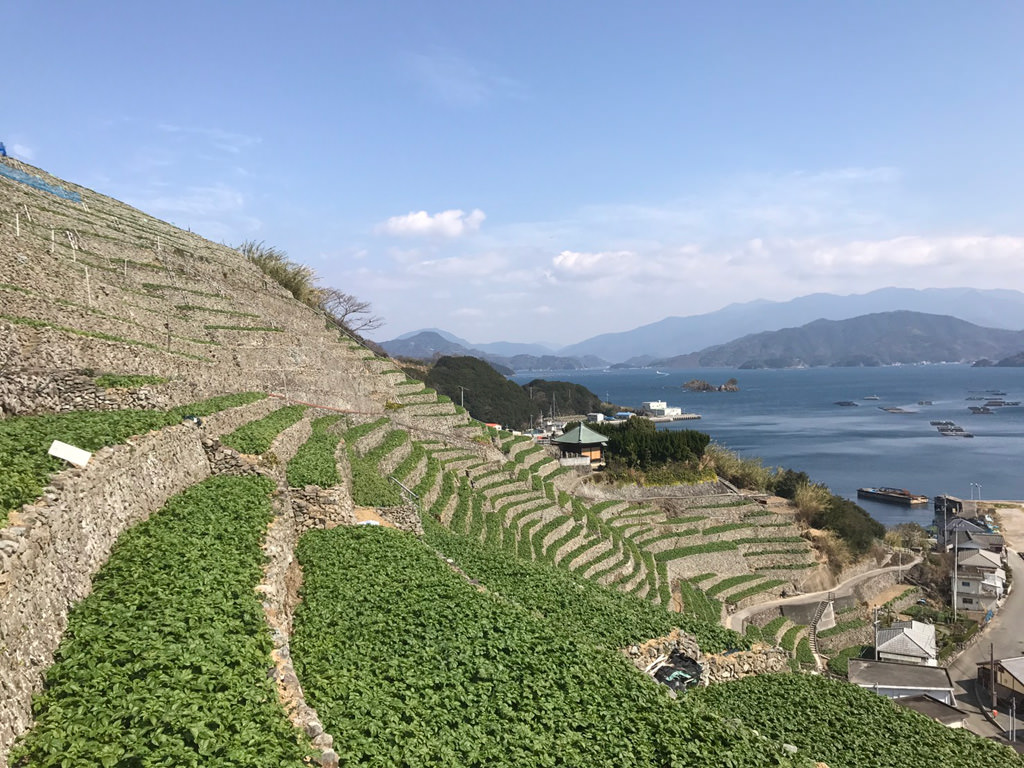 遊子水荷浦段田地