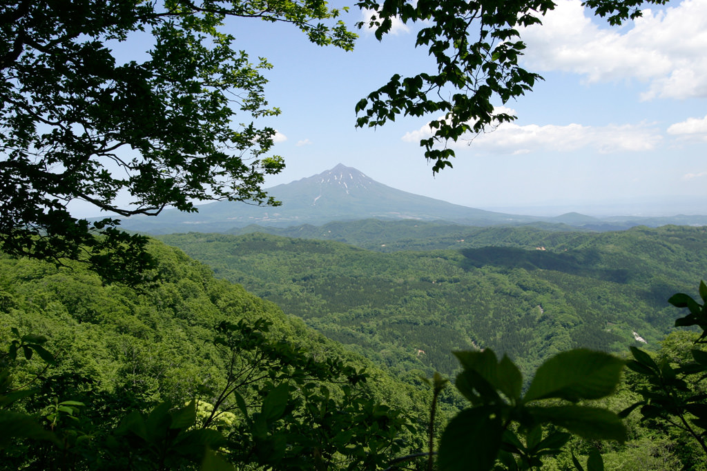 白神山地