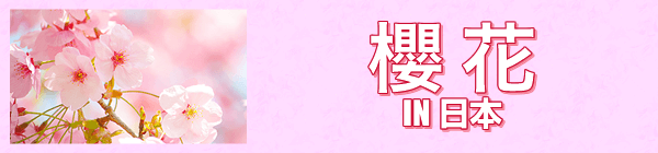 櫻花 in 日本